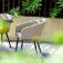 Maze - Outdoor Ambition 6 Seat Oval Dining Set - Taupe